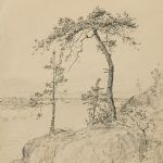 1202 3138 Tusch
